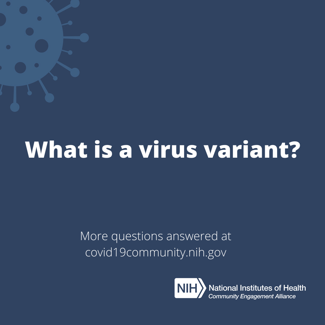 WhatIsVariant_Q_IG vaccine promotion flier thumbnails
